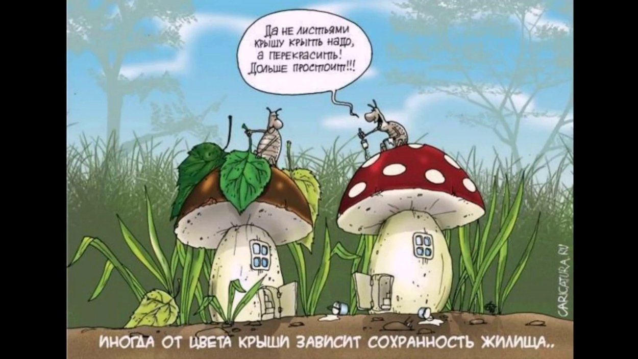 Анекдоты про грибы