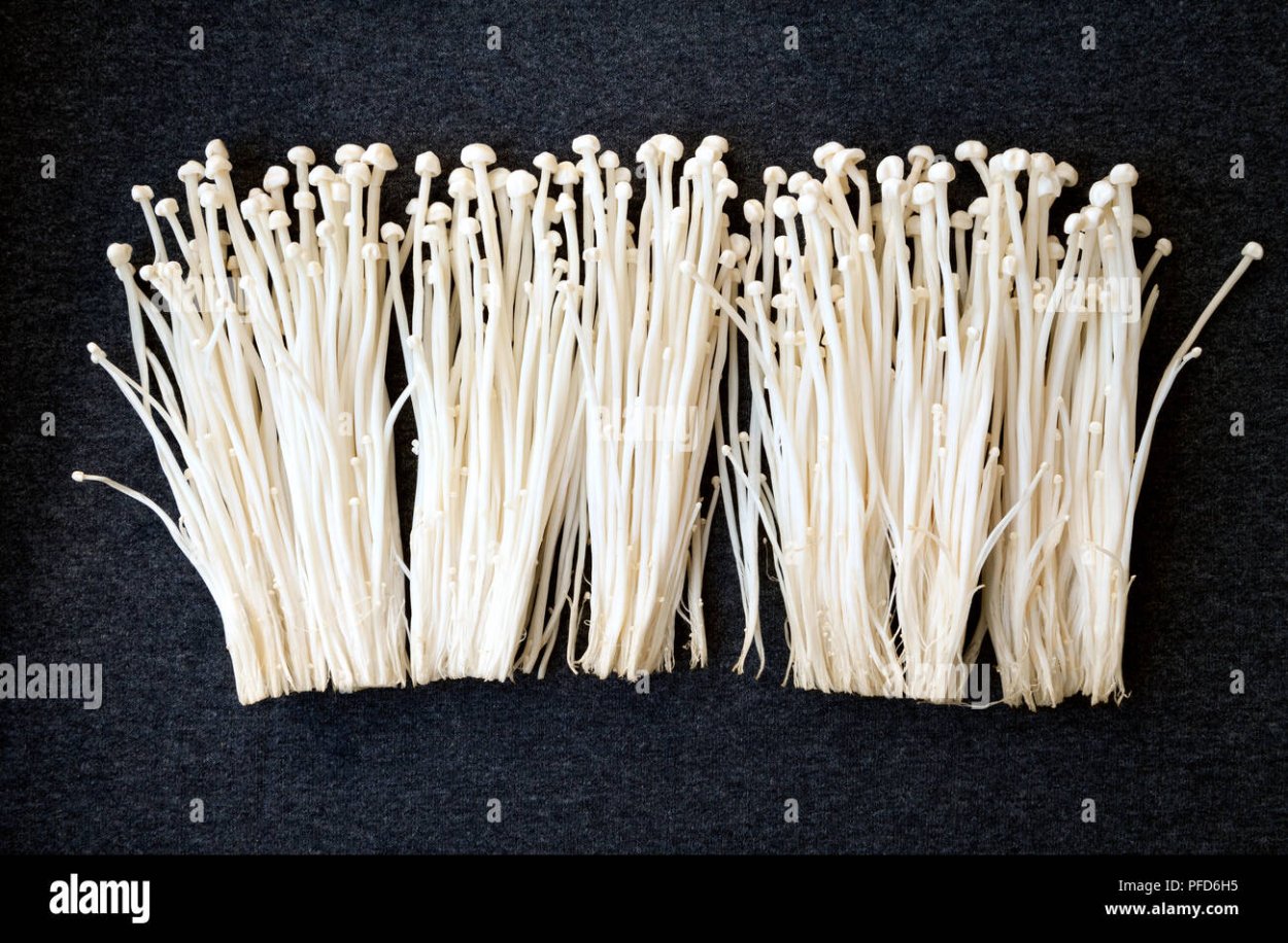 Грибы китайские белые длинные