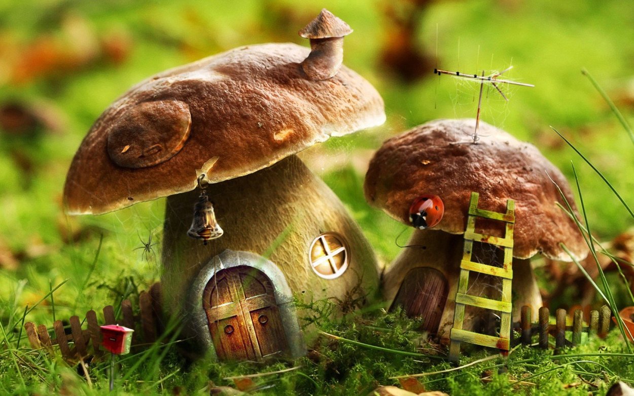 Steinpilz