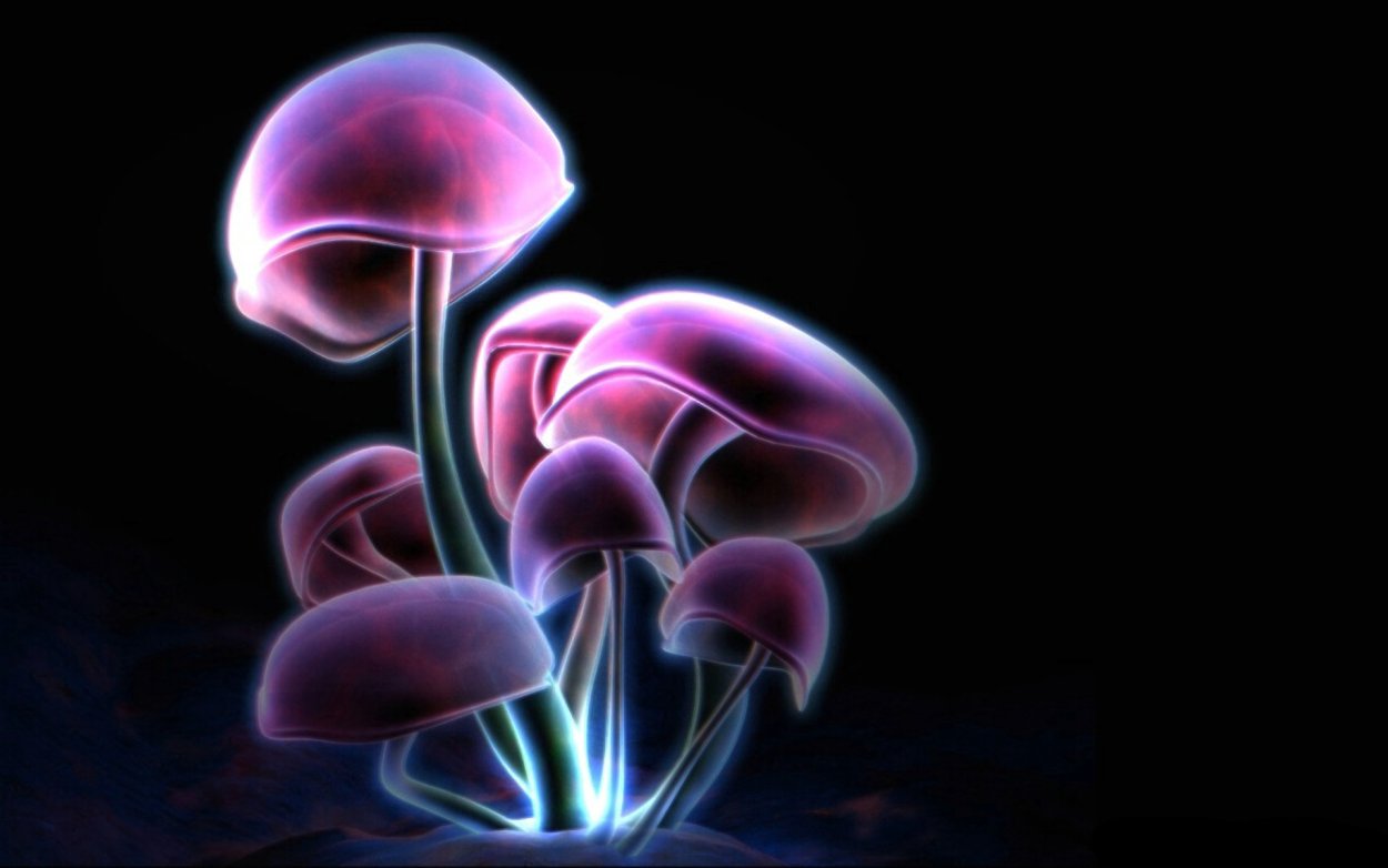 Голубой гриб Entoloma hochstetteri