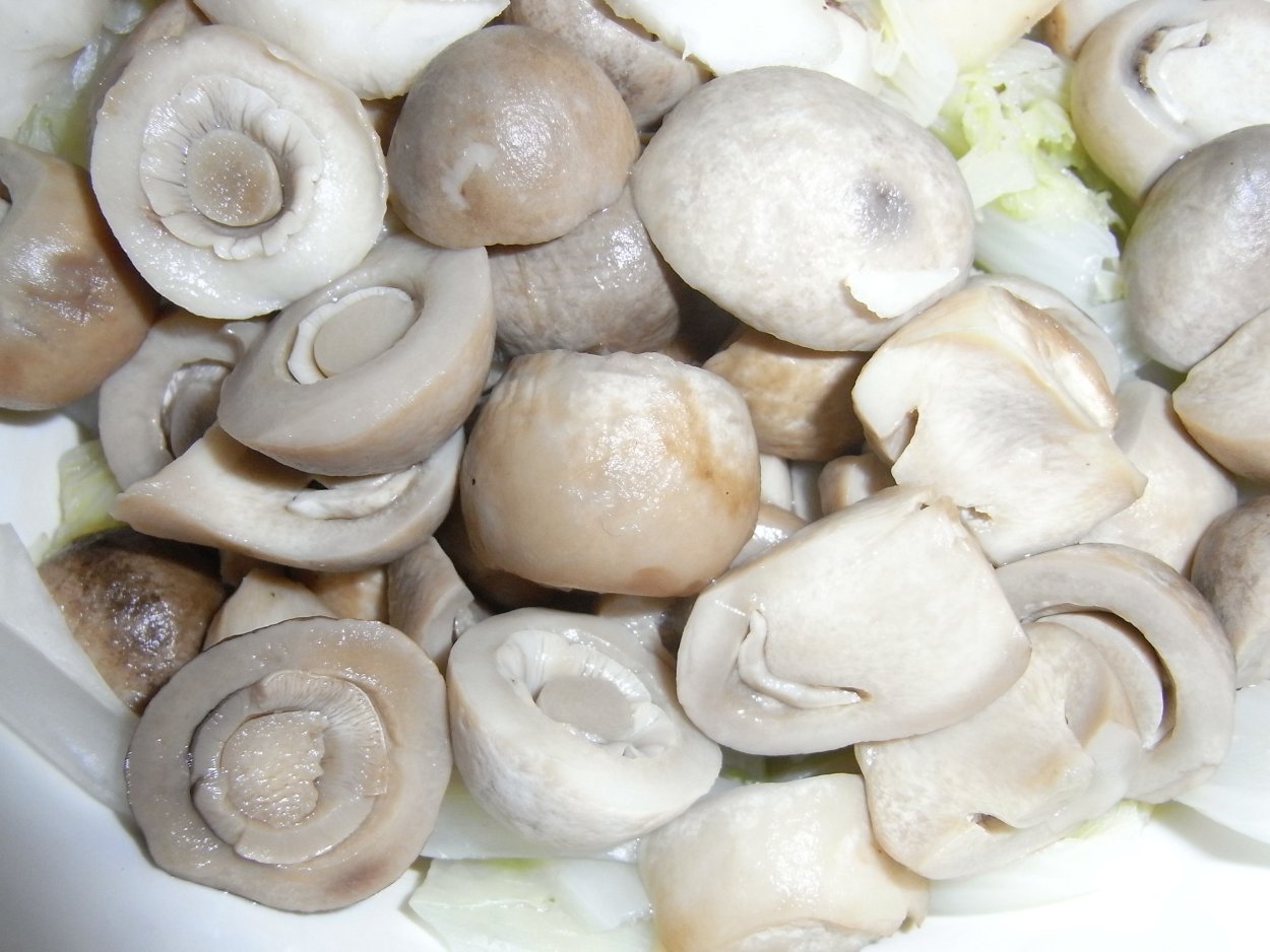 Pleurotus eryngii белок