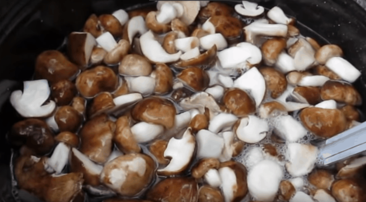 Рядовку белую — Tricholoma album