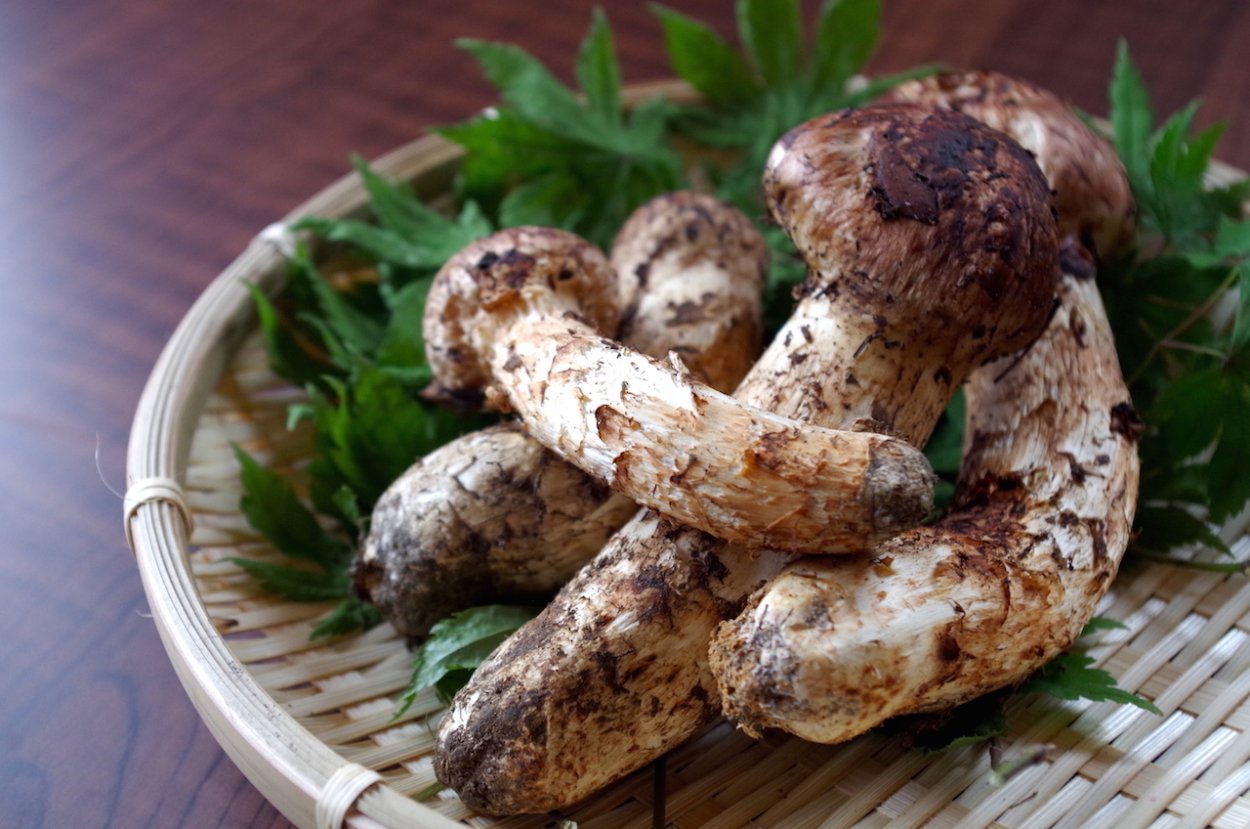 Белые грибы кусочки