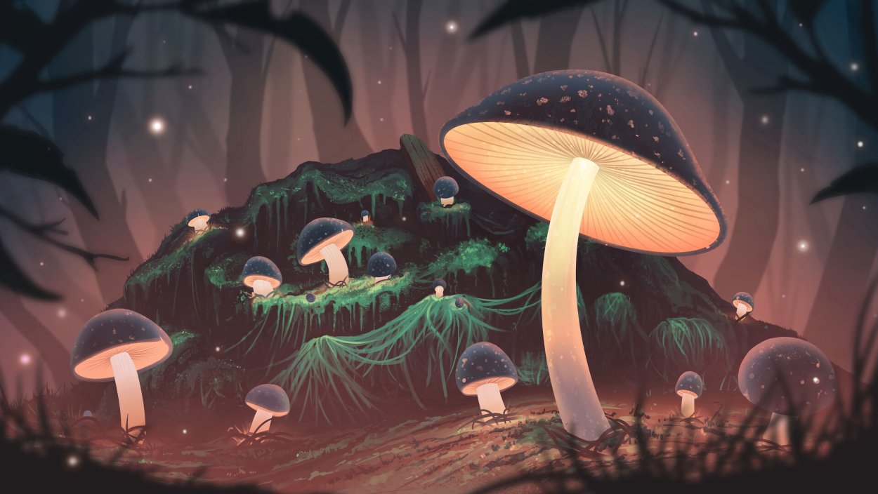 Гриб Calvatia gigantea