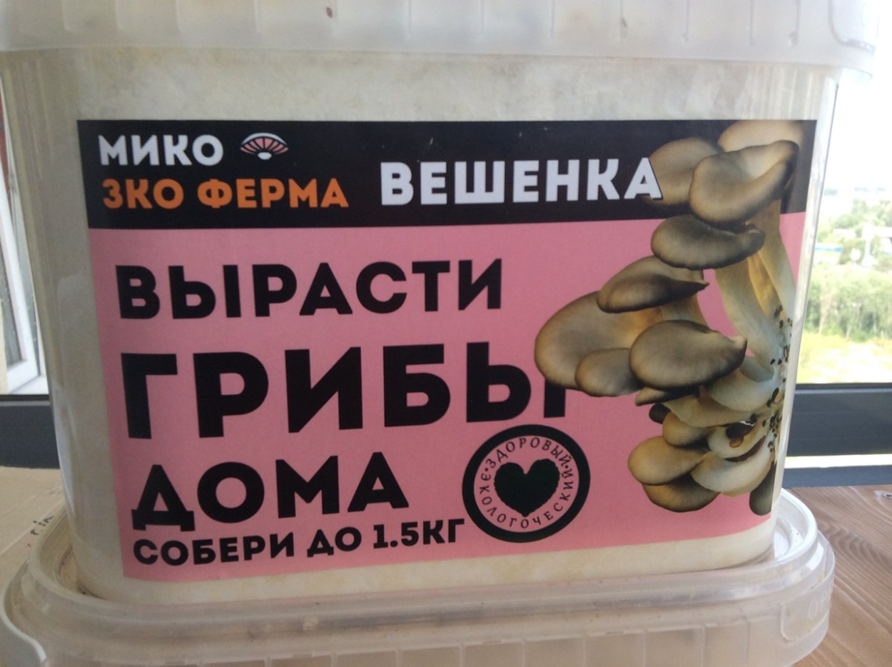 Грибы в Железнодорожном