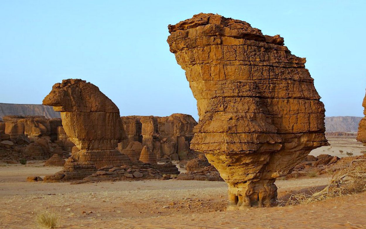 Гельта Аршей, Чад