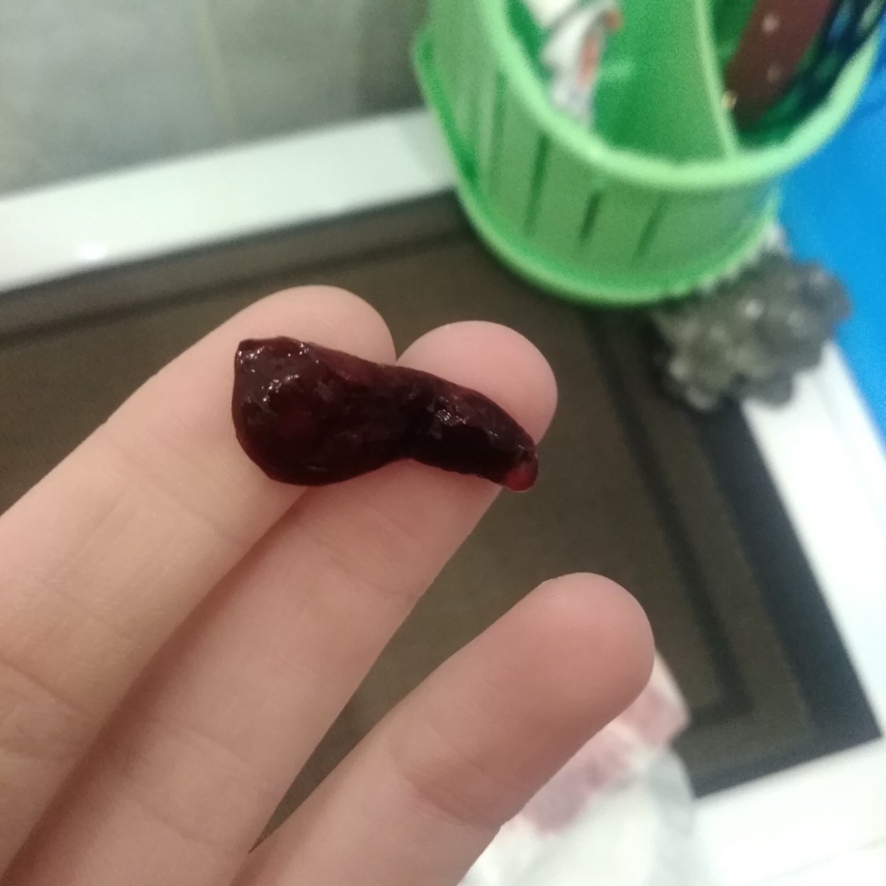Сгусток менструальной крови