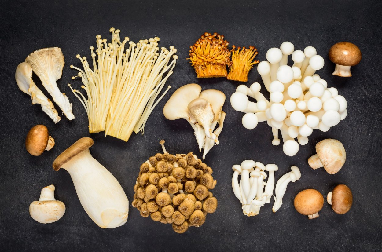 Stir Fried Mushrooms