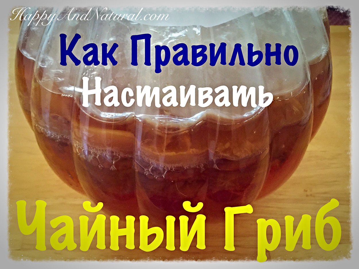Посуда для чайного гриба