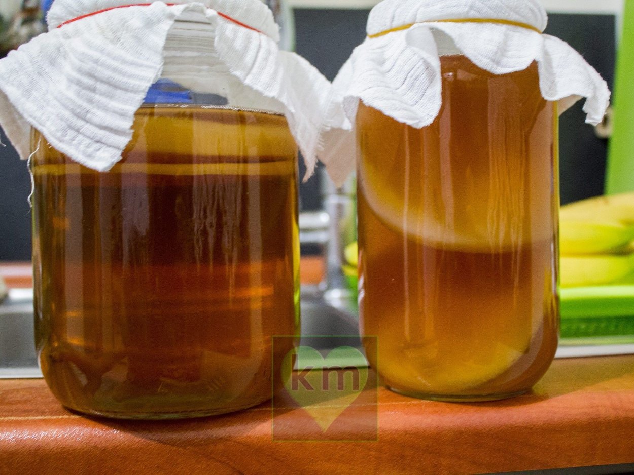 Kombucha чайный гриб