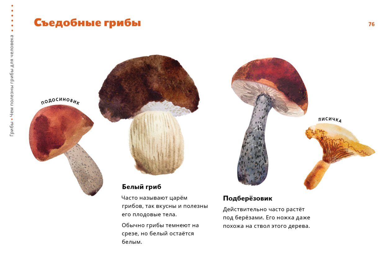 Non Edible Mushrooms