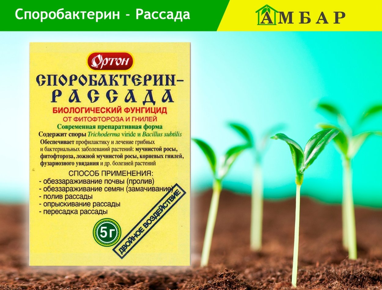 Семена микрозелень гидропоника