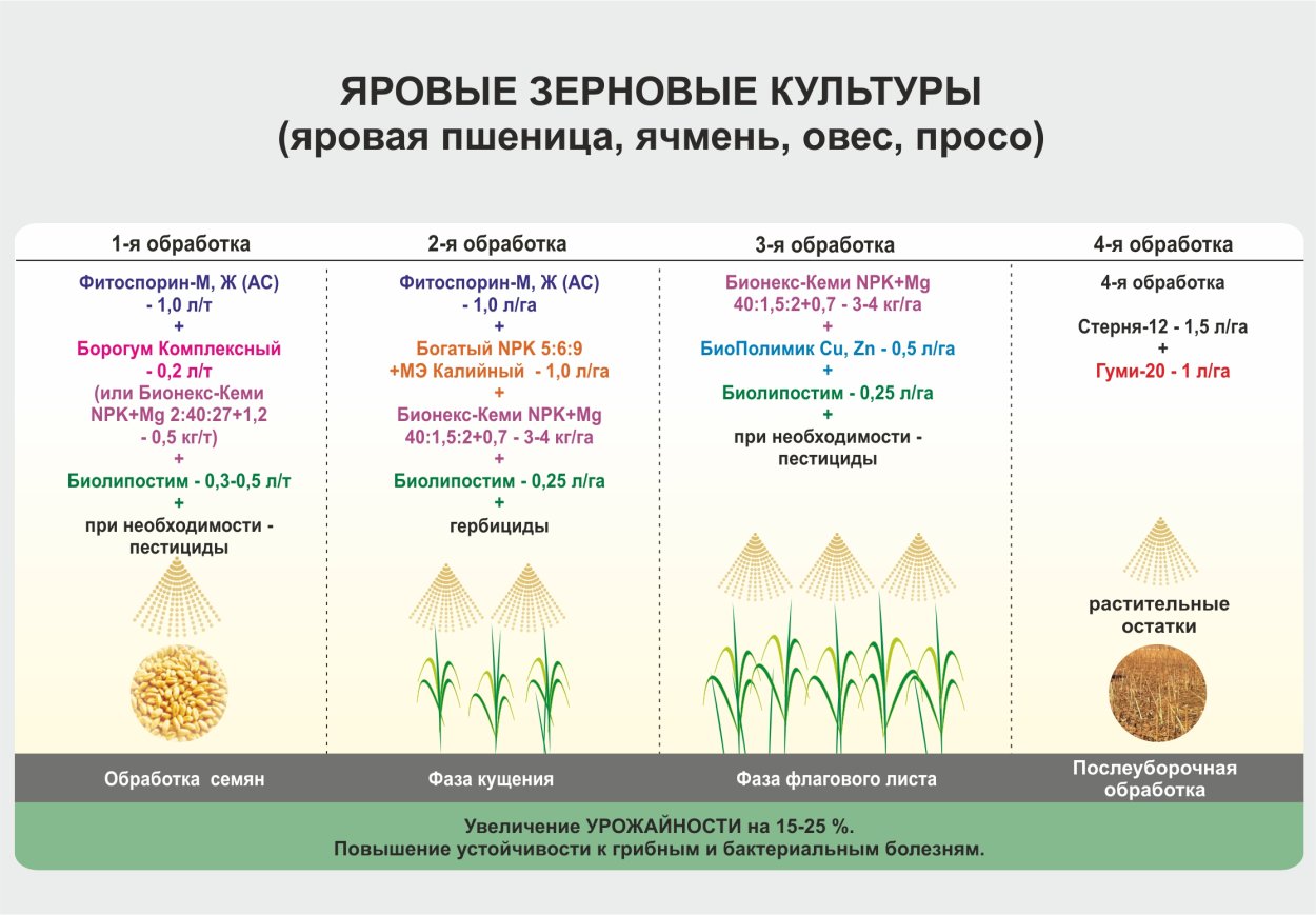 Технологическая возделывания зерновых культур