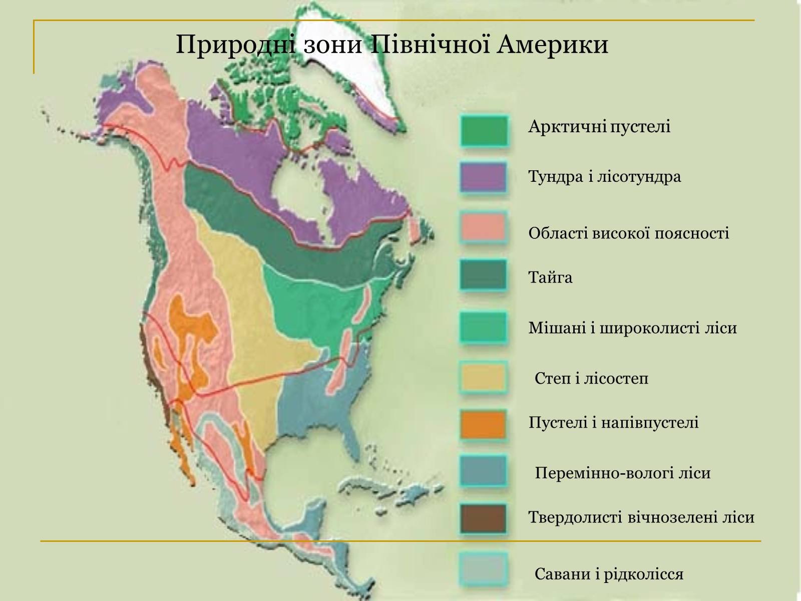Какой пояс занимает большую часть северной америки. Карта природных зон Сев Америки. Карта природных зон Северной Америки. Карта природных зон Северной Америки 7 класс география. Климатические пояса и природные зоны Северной Америки.