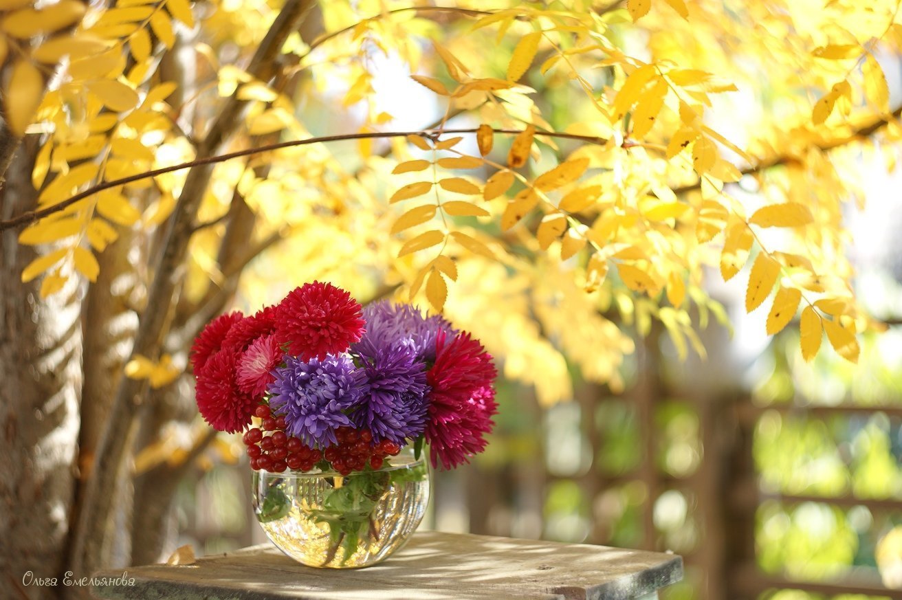 Осенние цветы природа. Ариэль Бюто цветы осени. Осенние цветы. Яркие осенние цветы. Осенний букет.