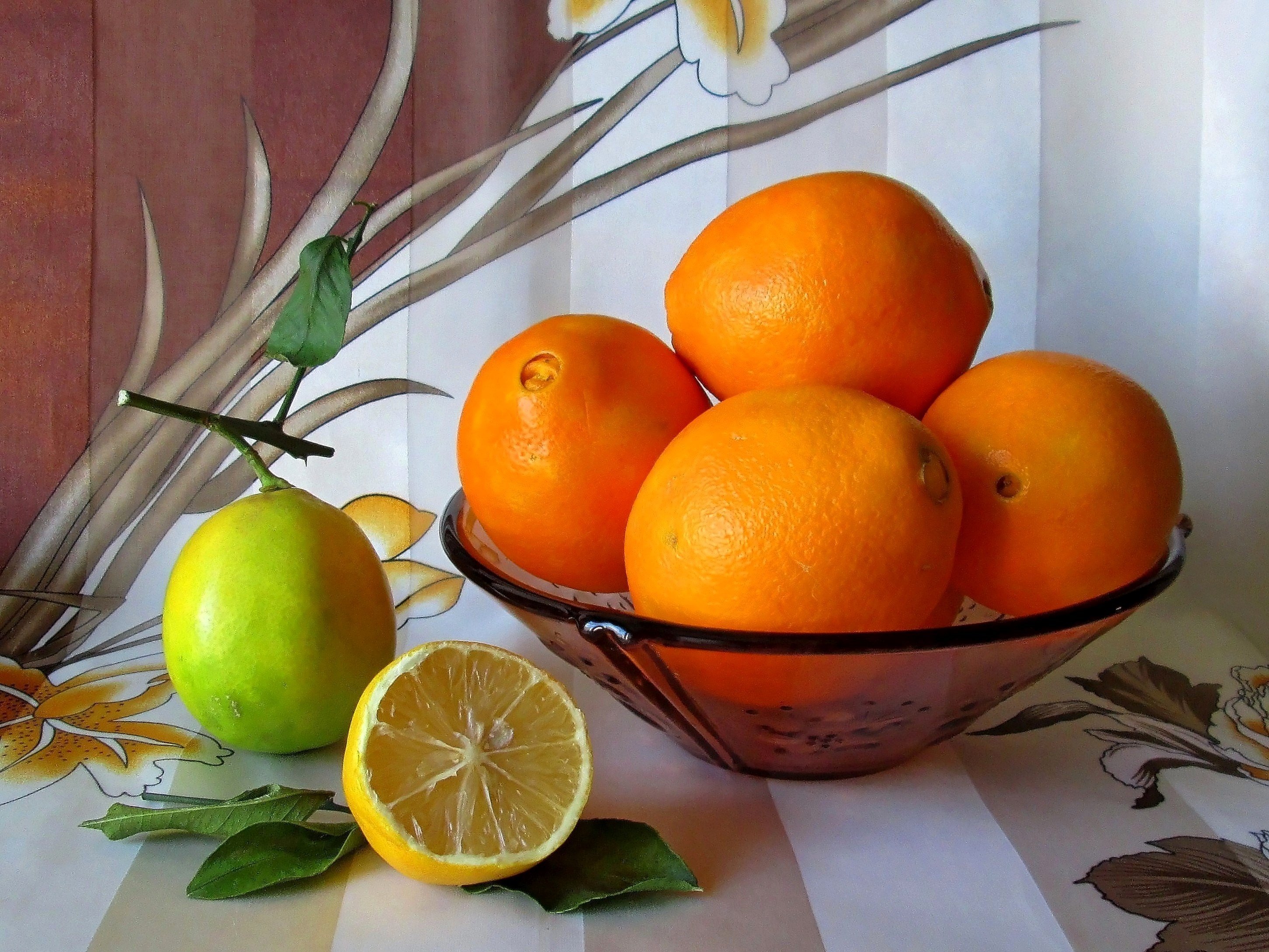 Мандарины весной. Герасимов натюрморт с марроканскими апельсинами. Натюрморт с апельсинами. Натюрморт с апельсинами и лимонами. Натюрморт с цитрусовыми.
