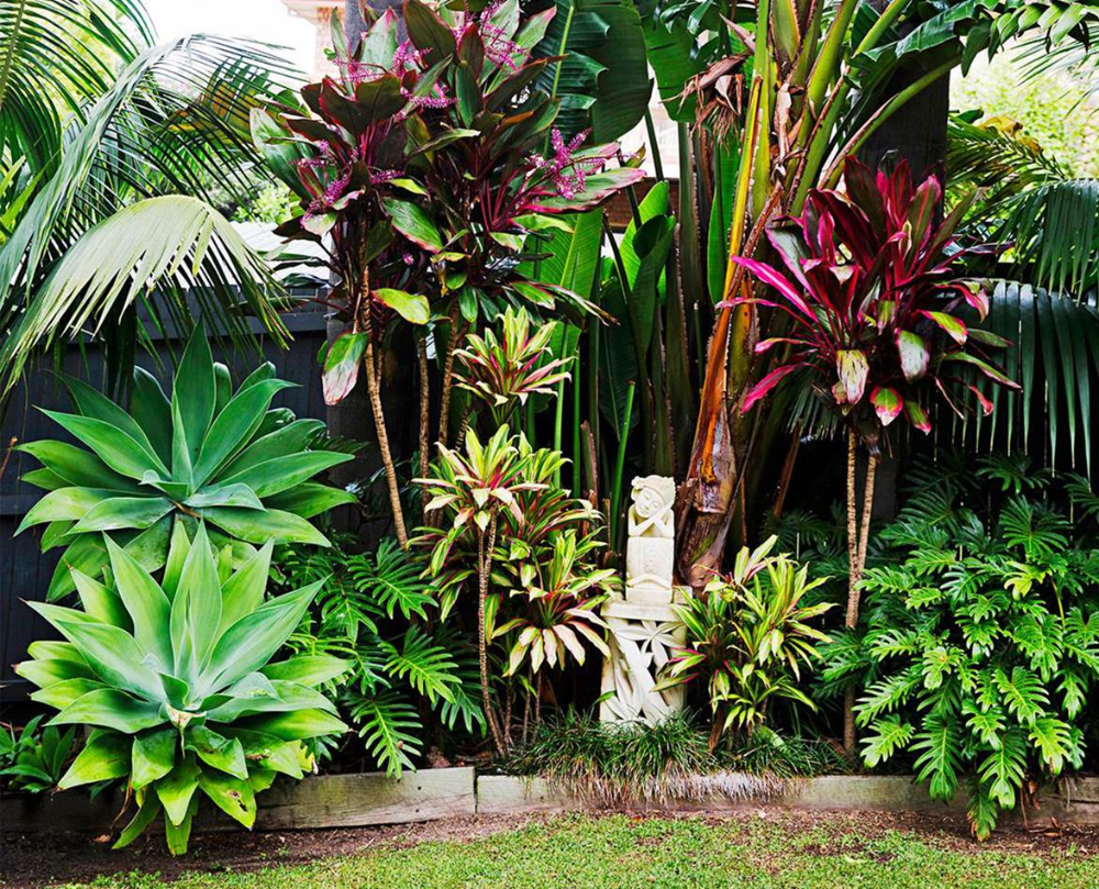 Растения Бали. Сад в тропическом стиле. Сад с пальмами. Цветы в балийском стиле.