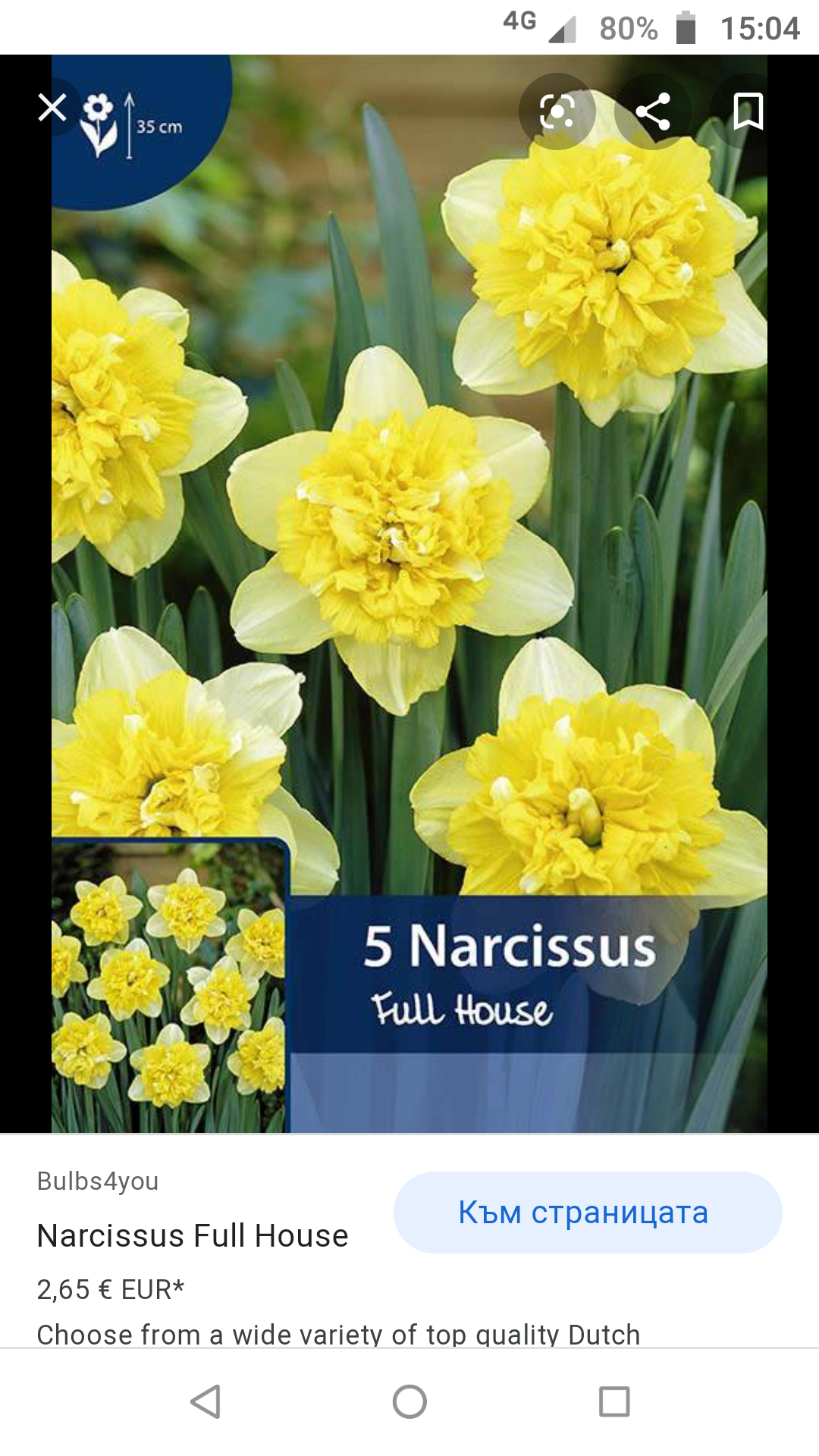 Нарцисс фулл хаус фото и описание