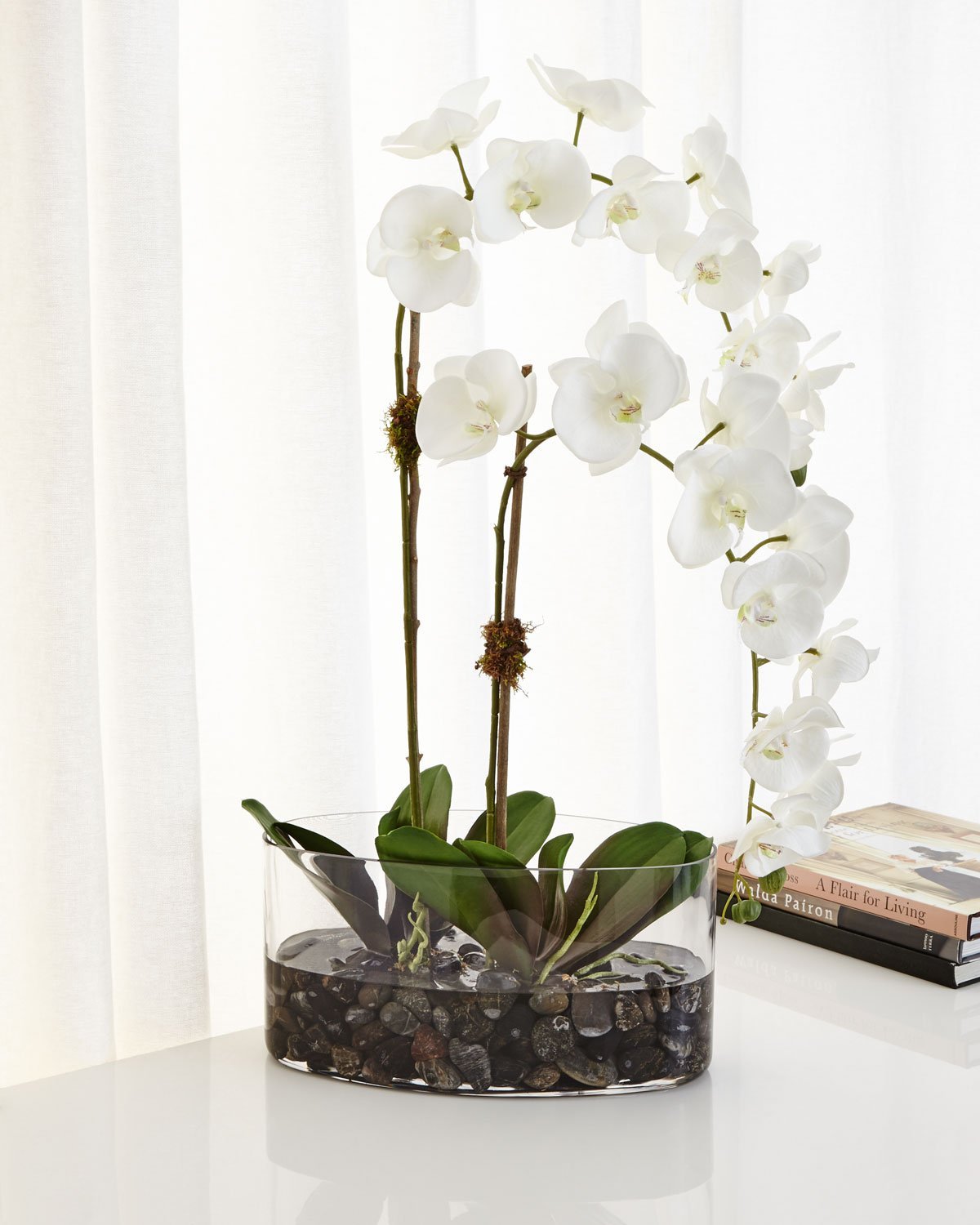 Орхидеи в непрозрачных горшках можно ли. Орхидея фаленопсис в горшке. Орхидея фаленопсис бананка. Фаленопсис белый в горшке. Композиции из орхидей в горшках.
