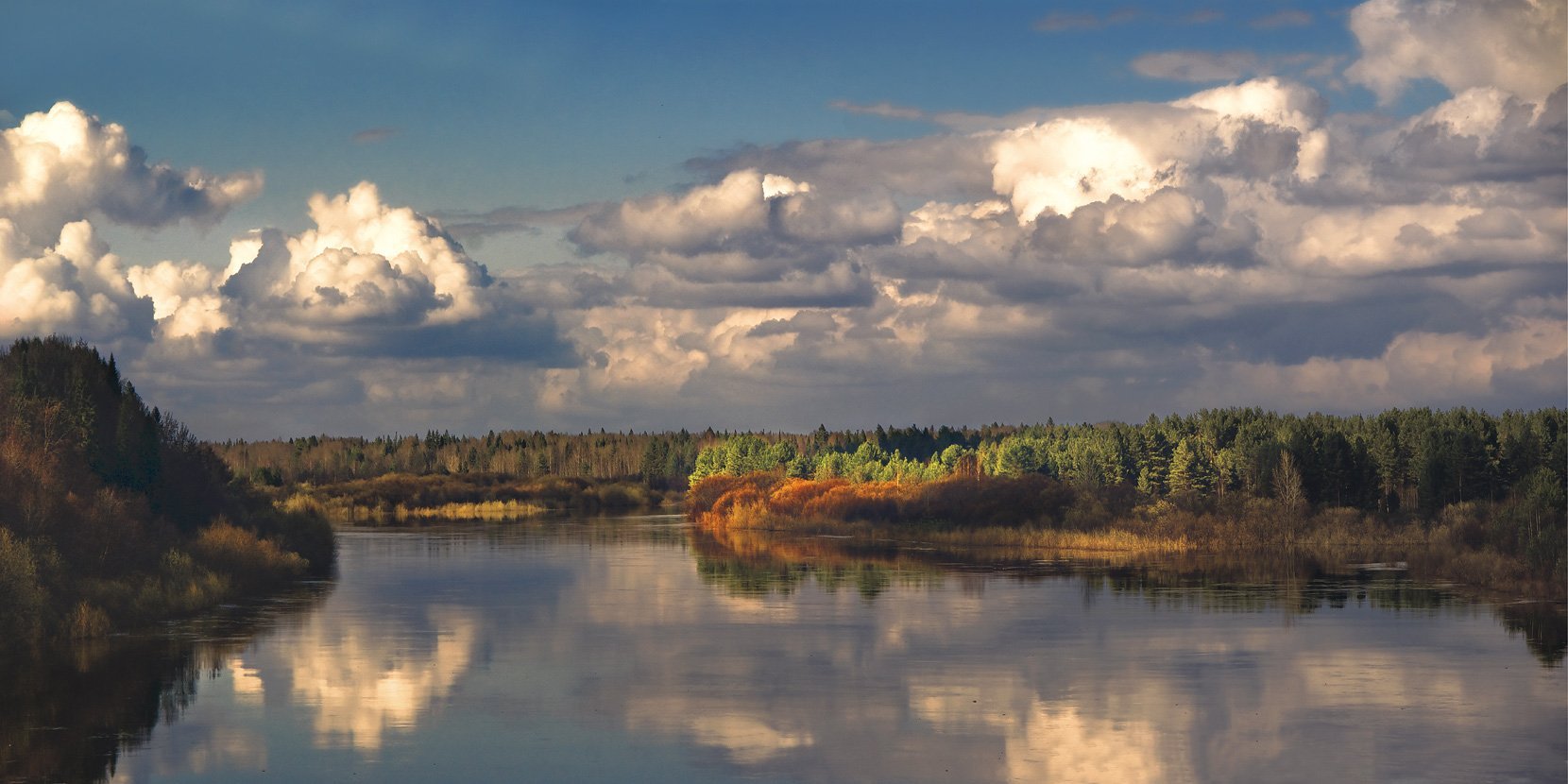 Берега реки Ветлуга река