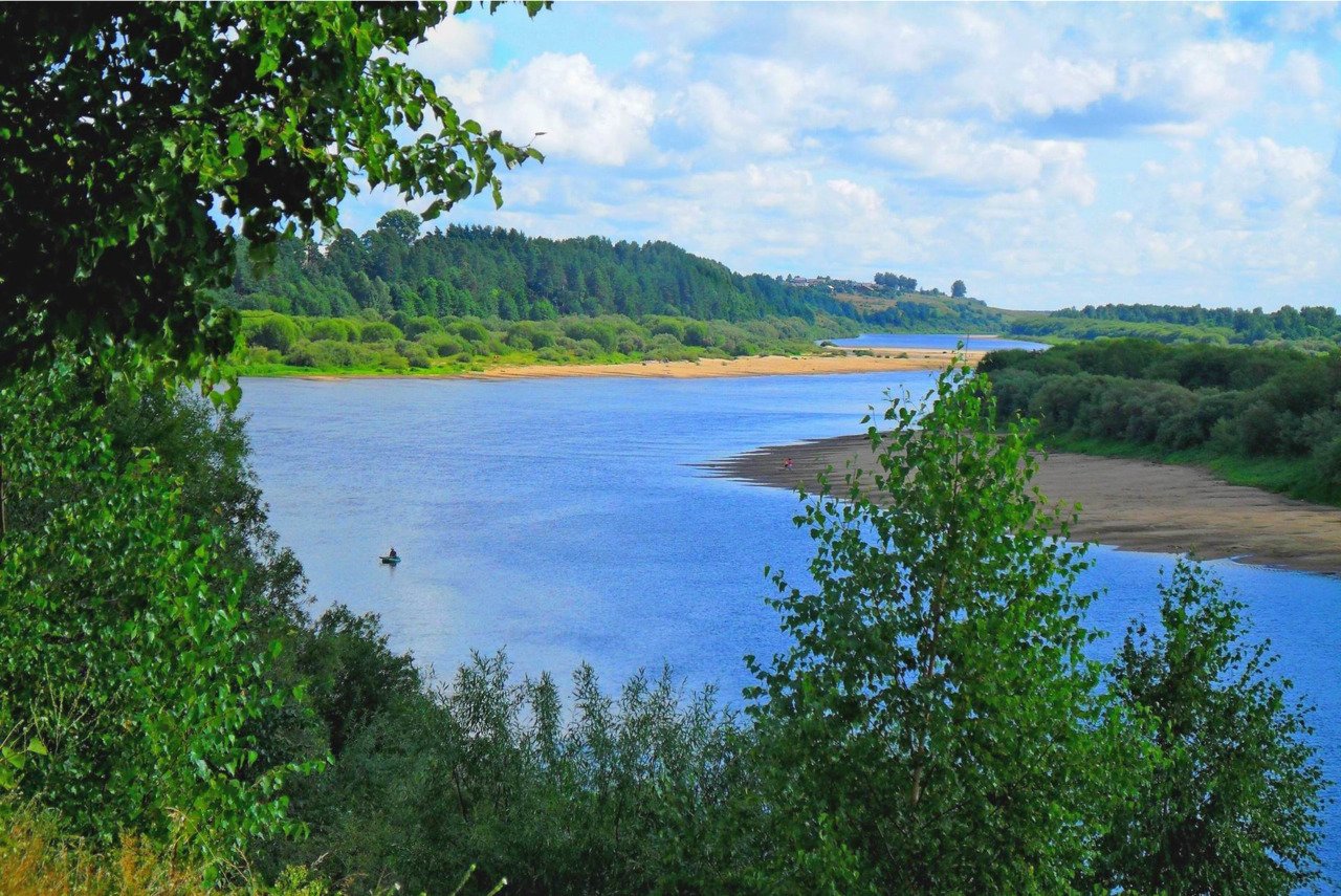 Растения реки Ветлуги