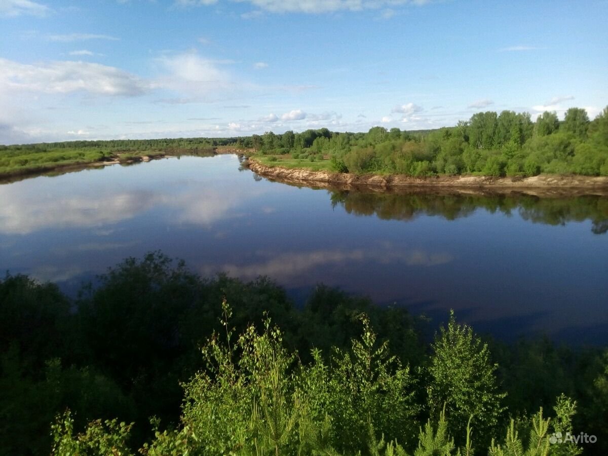 Растения реки Ветлуги