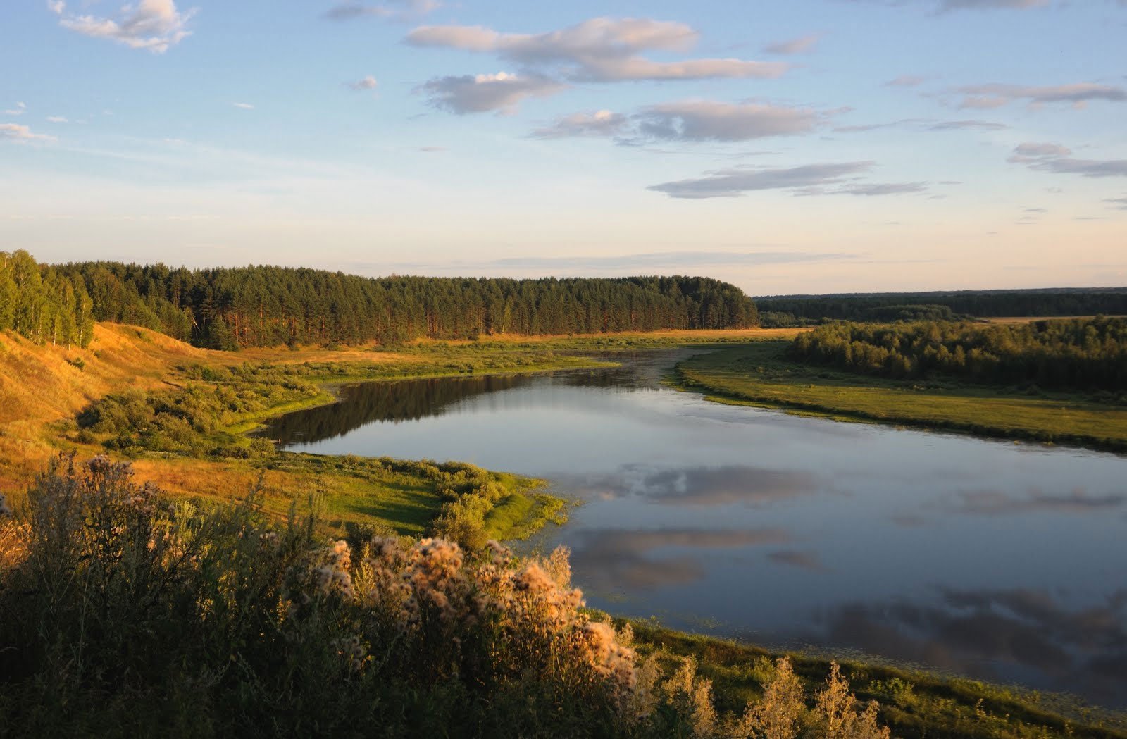 Растения реки Ветлуги