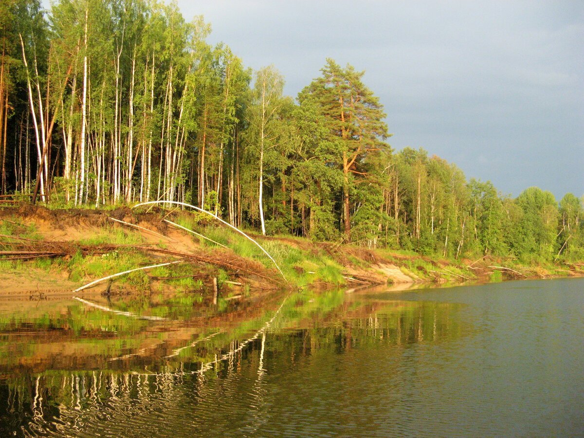 Берега реки Ветлуга река