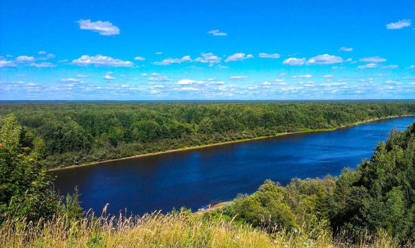 Растения реки Ветлуги