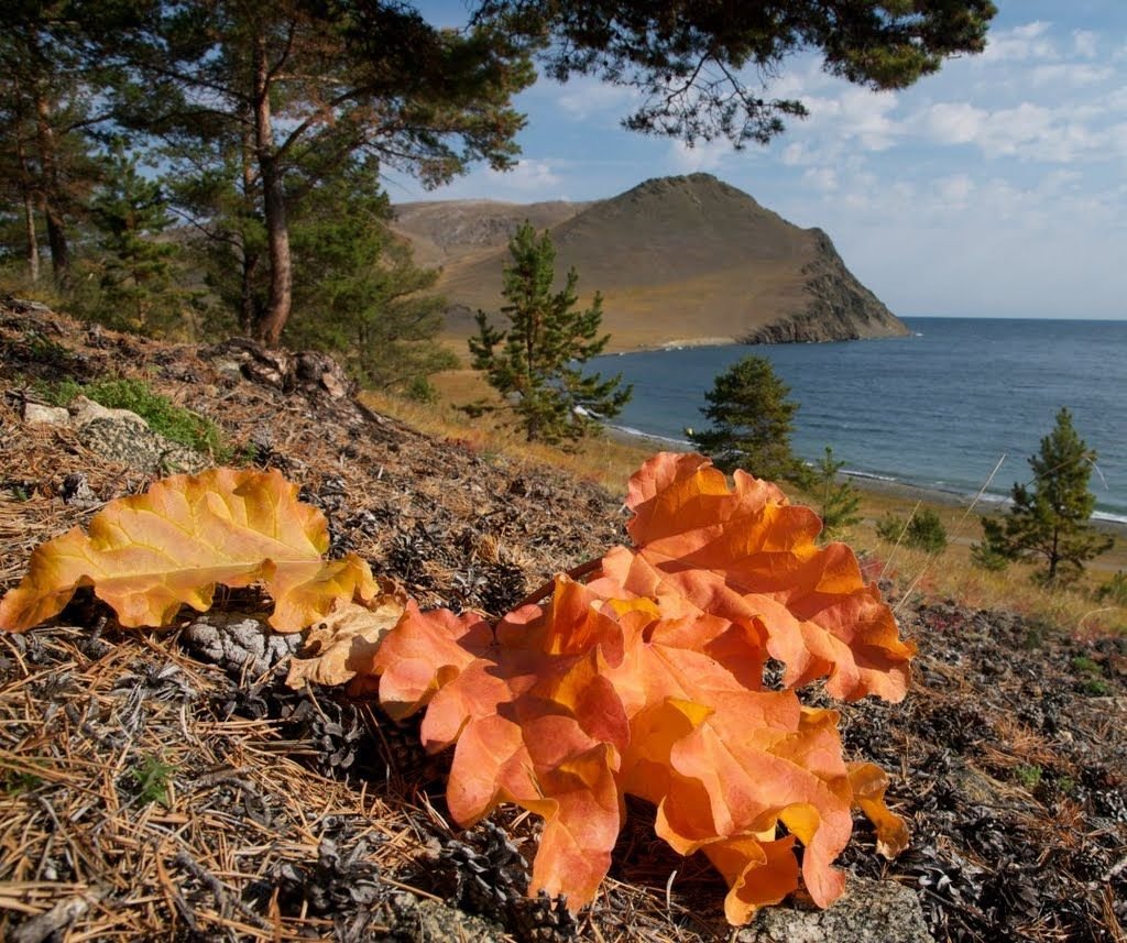 Байкал осень Ольхон