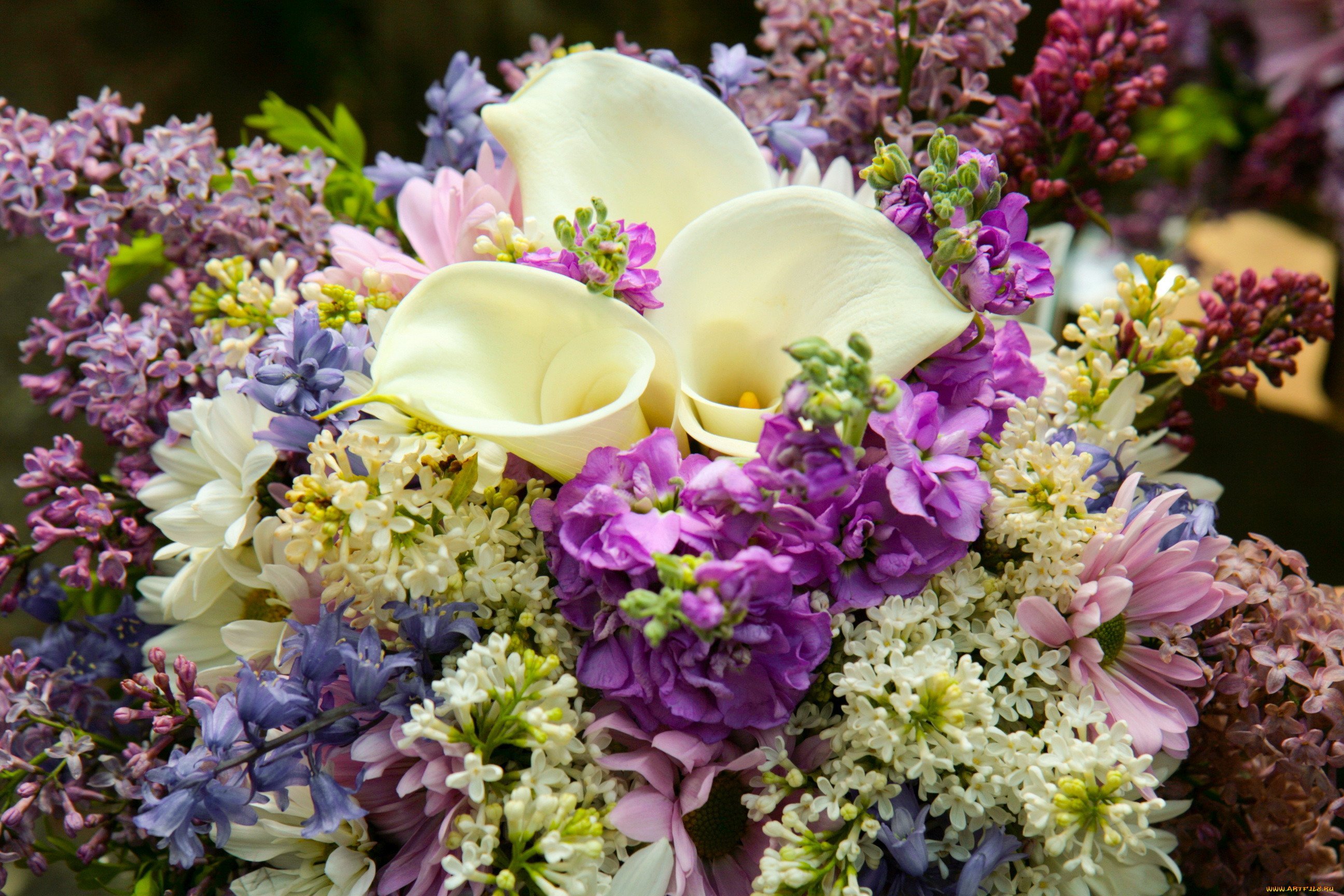 Цветы картинки праздник красивые. Тюльпаны, гиацинты, хризантемы, пионы.. Цветы сирень букет. Красивый букет цветов. Роскошный букет.