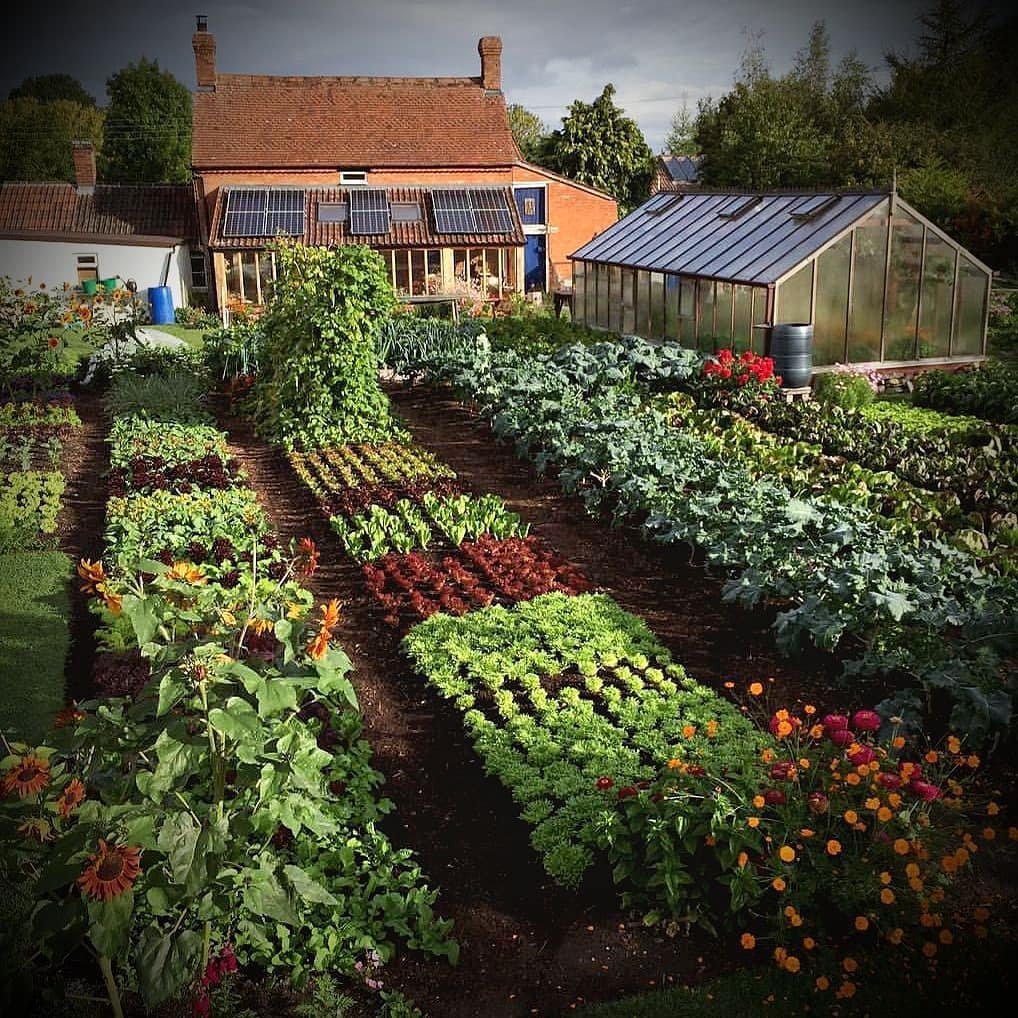Дизайн сада и огорода своими руками: картинки, иллюстрации и фото, как красиво оформить сад-огород