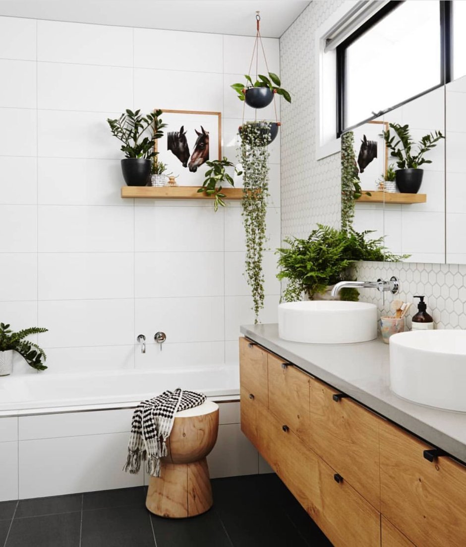 Цветы в ванной без окон. Ванная комната с растениями. Растения в ванной. Цветы в ванную комнату. Растения в ванной комнате интерьер.