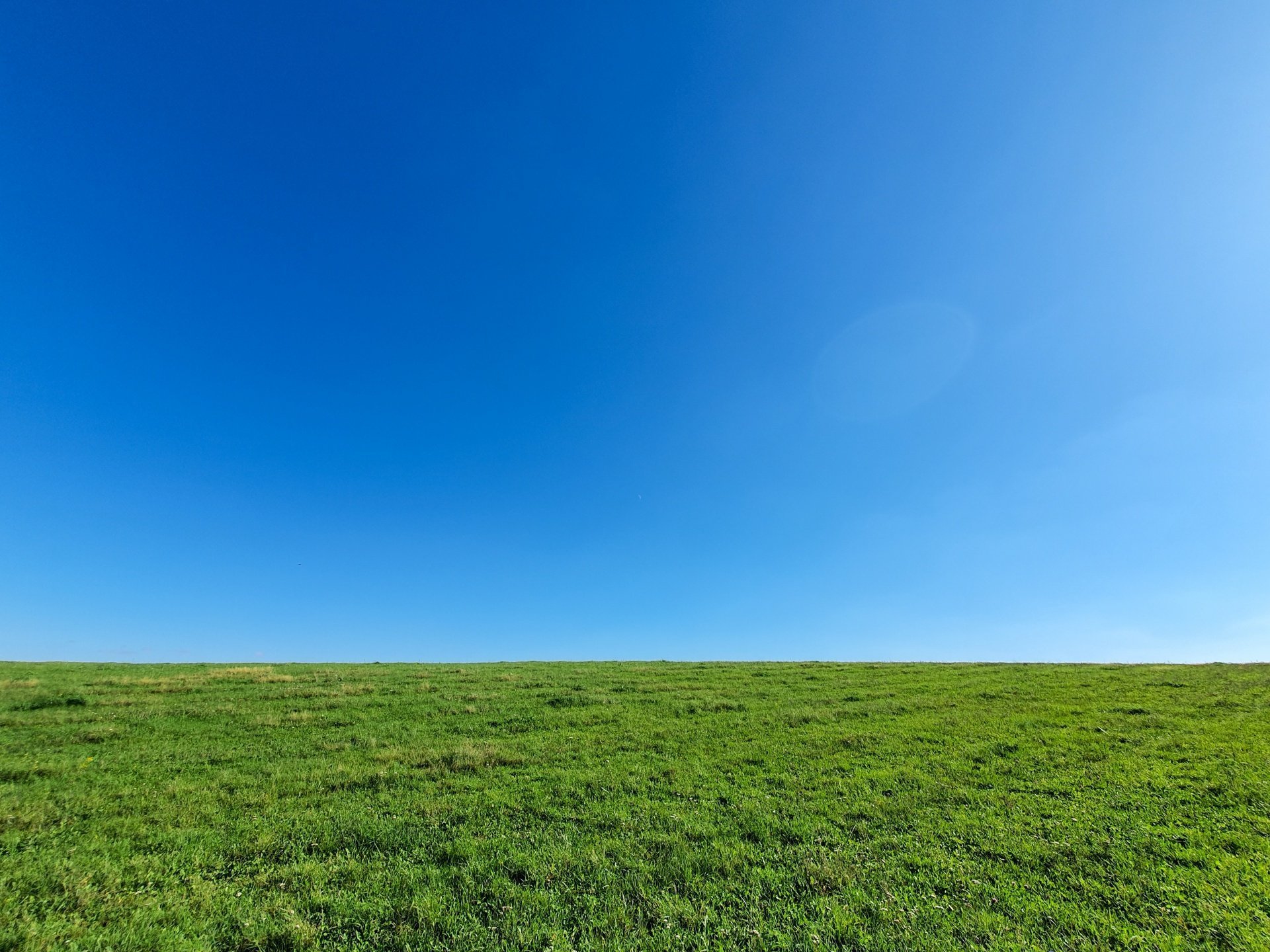 Голубое небо зеленая трава - 72 фото