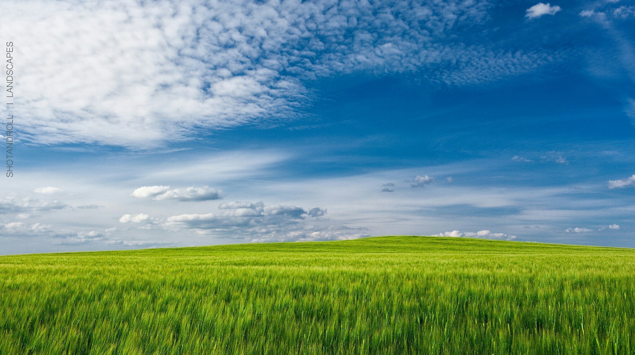 Песня голубое небо зеленая трава. Зеленое поле. Трава и небо. Поле и небо. Фон поле.