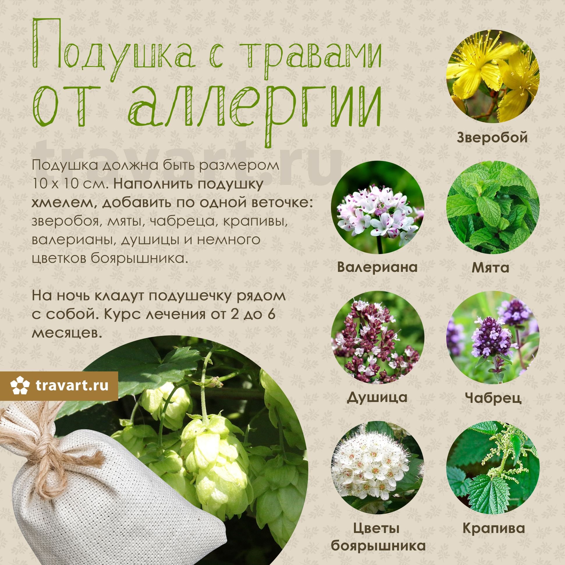 Народные средства список. Травяные подушки. Лечебные растения от аллергии. Лечебные травы от аллергии.