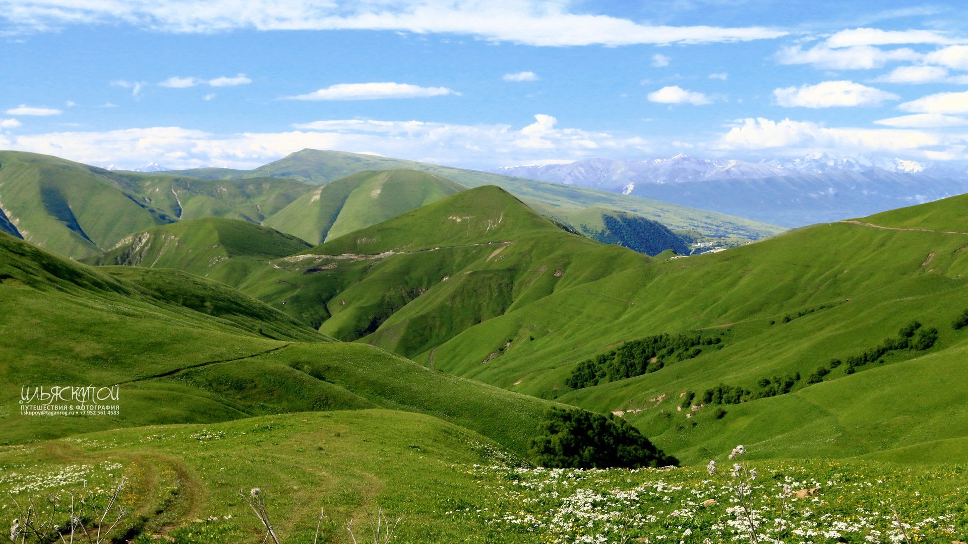 Погода алтайский край зеленый луг