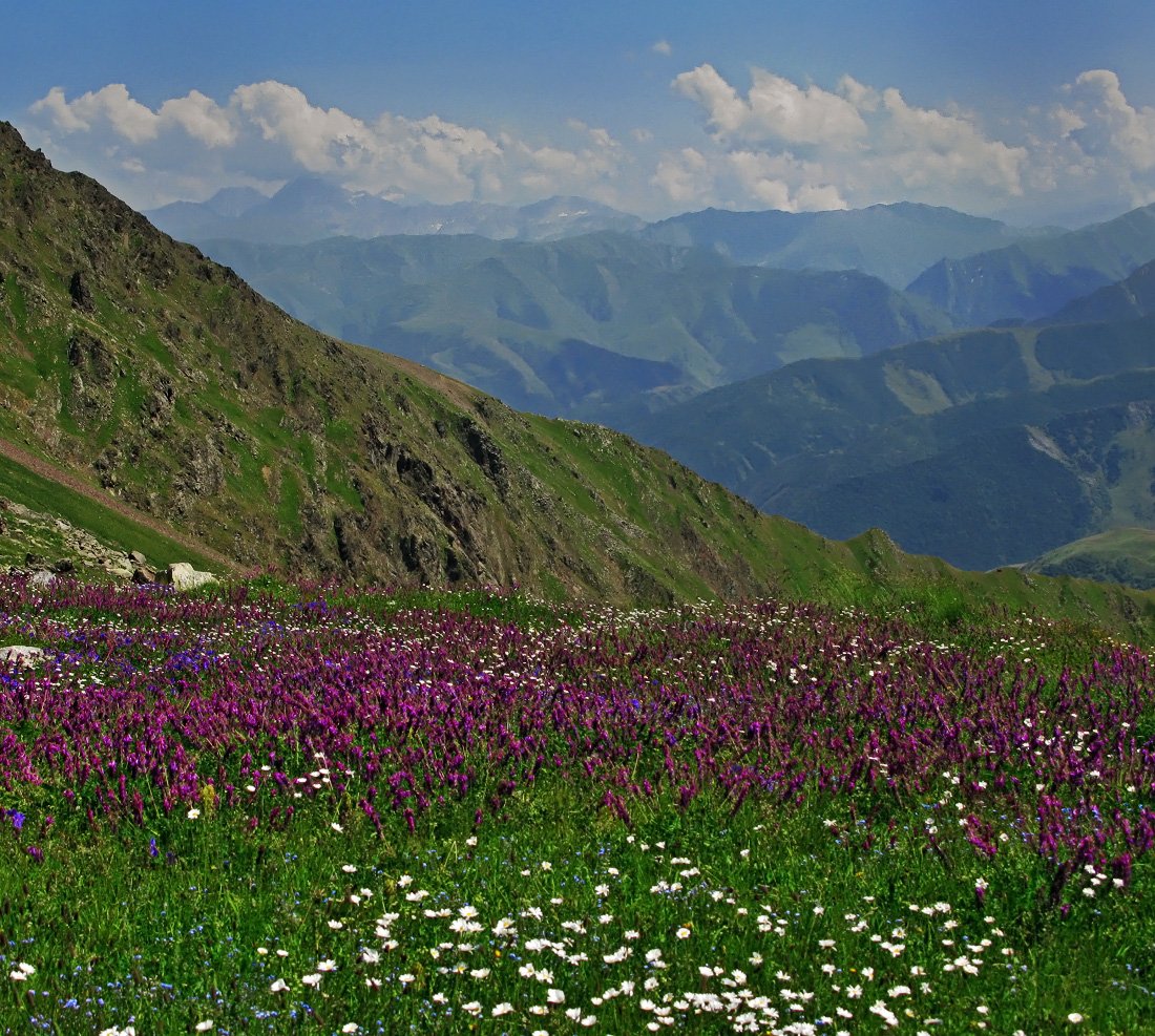 Горы Дагестана Луга