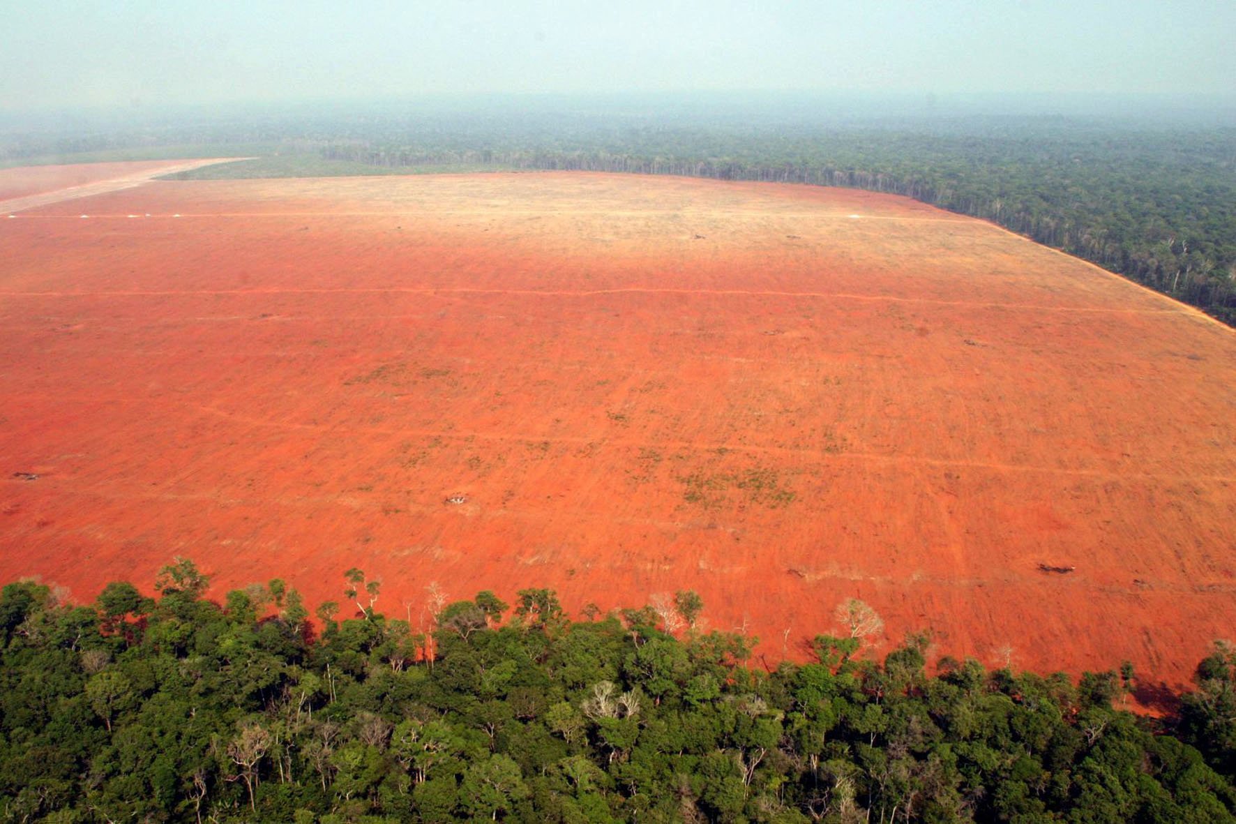 Природные зоны бразилии почва. Красные ферраллитные почвы Бразилии. Красные ферраллитные почвы Южной Америки. Красно-желтые ферраллитные почвы. Красные ферраллитные почвы Австралии.