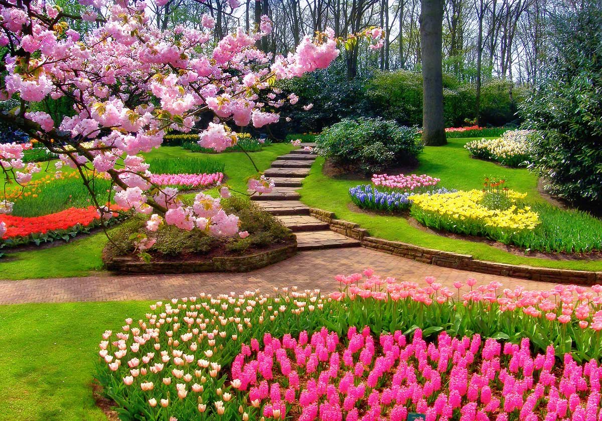 Идеи на тему «Цветущий сад» (30) | весенняя фотография, фотосессия, цветущие деревья
