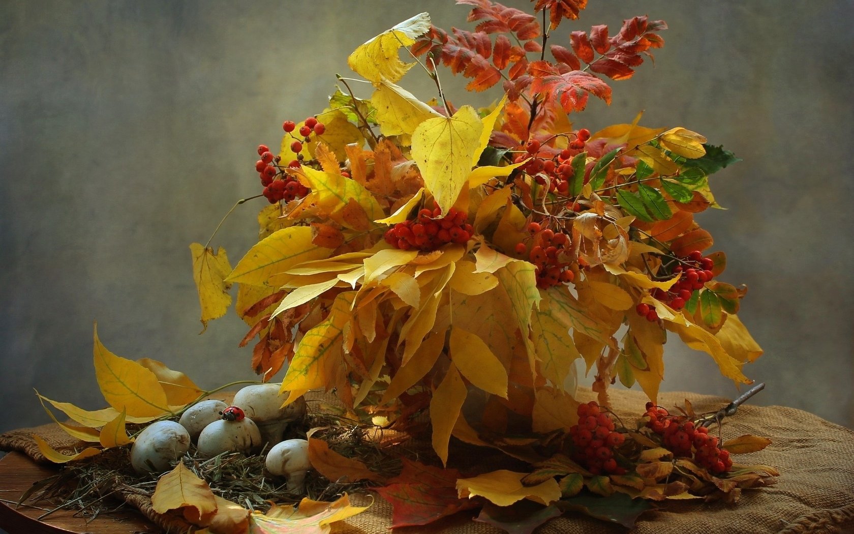 Схемы и пошаговые фото как сворачивать цветочки из листьев