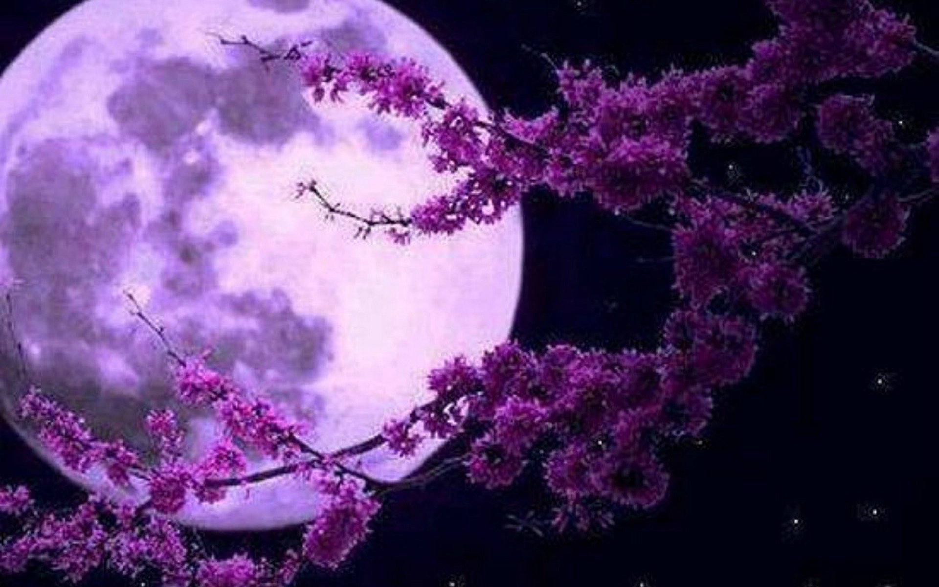 Purple moon