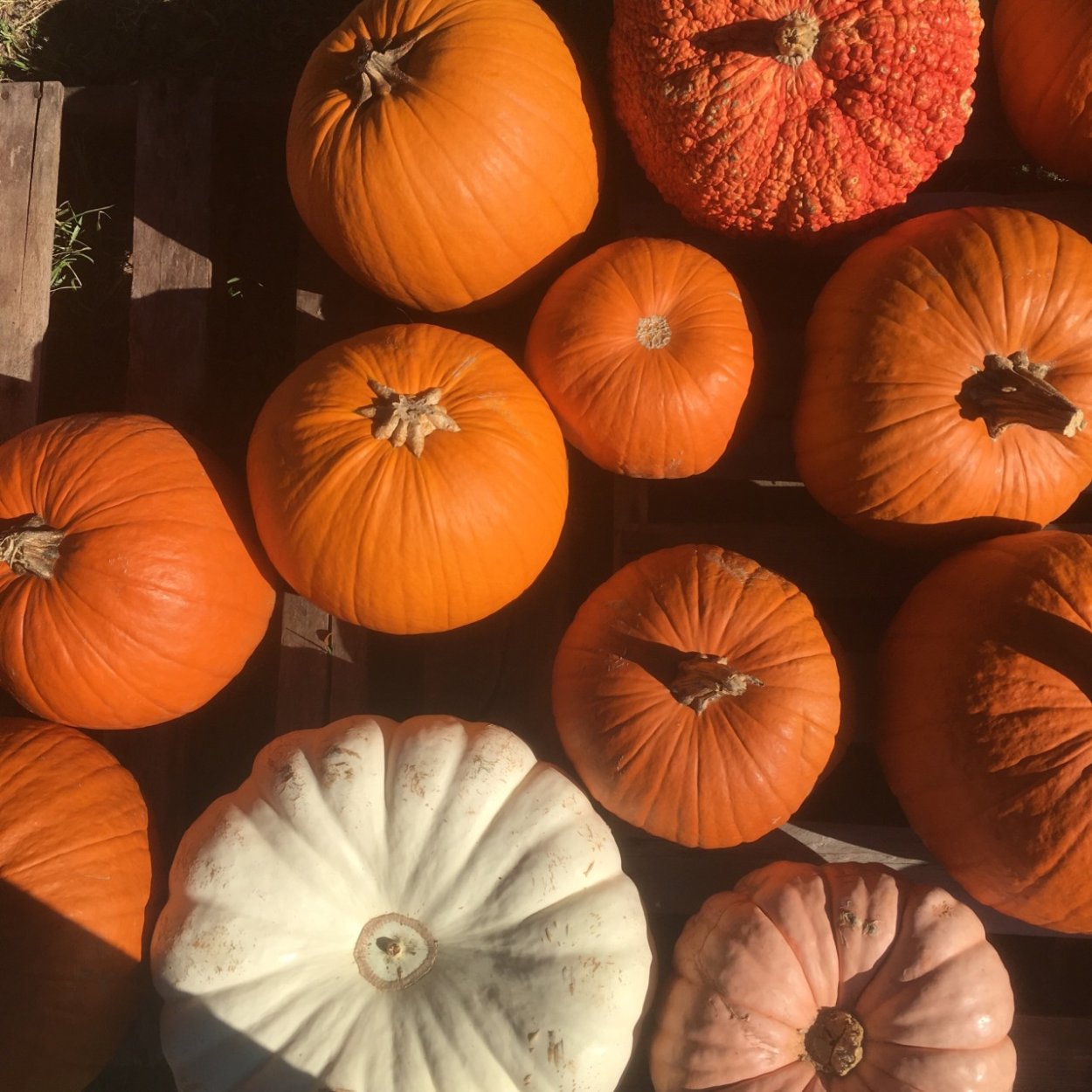 Хэллоуин Эстетика