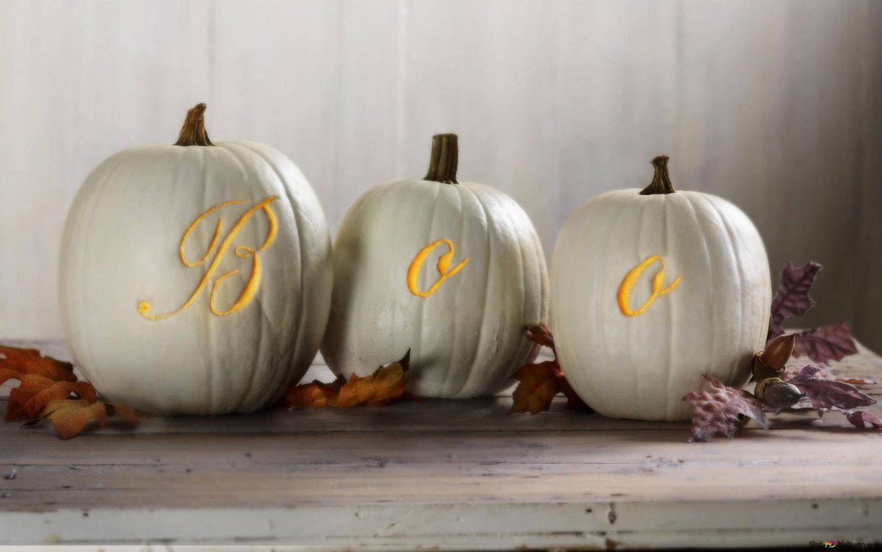 Серая тыква на Хэллоуин