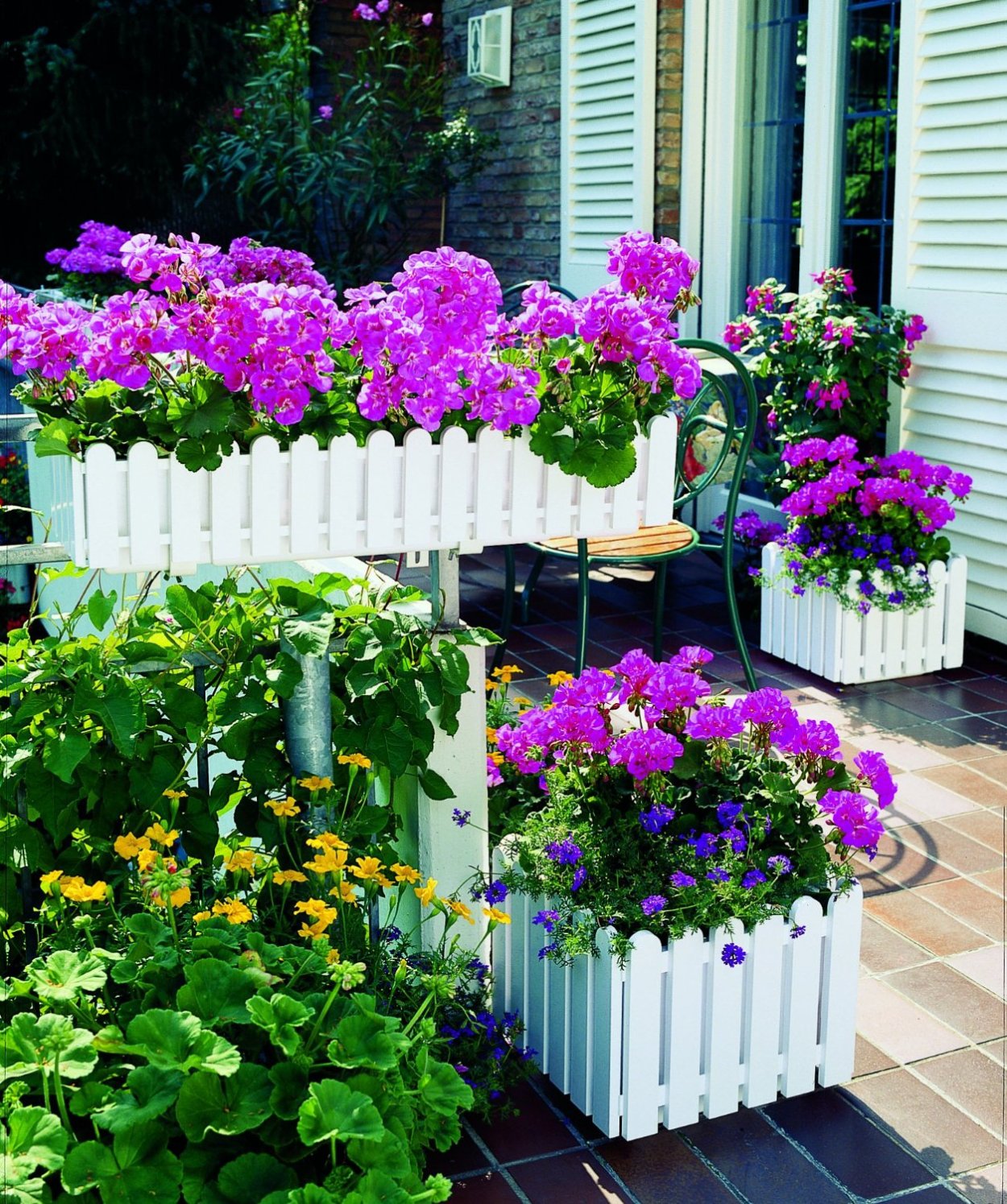 Петунии на веранде