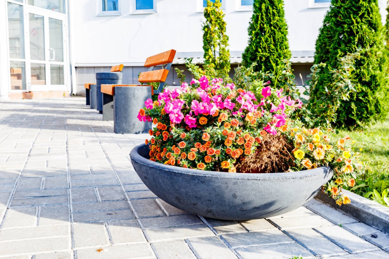 Арбет вазоны Арбет