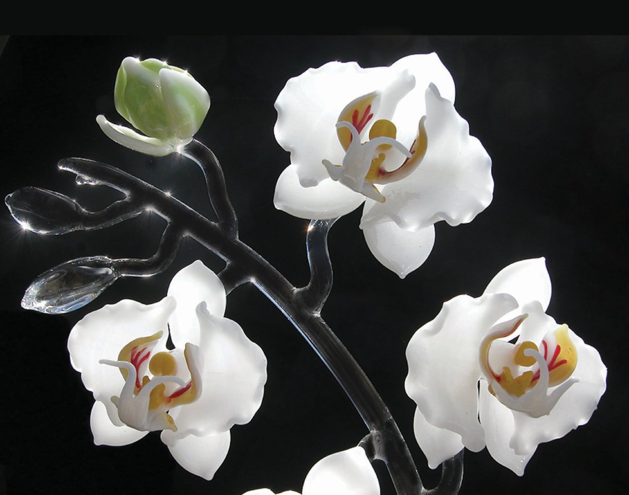 Стеклянный цветок на белом