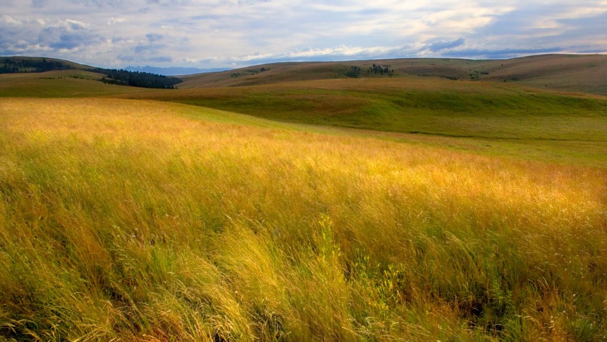 Климат степей Северной Америки