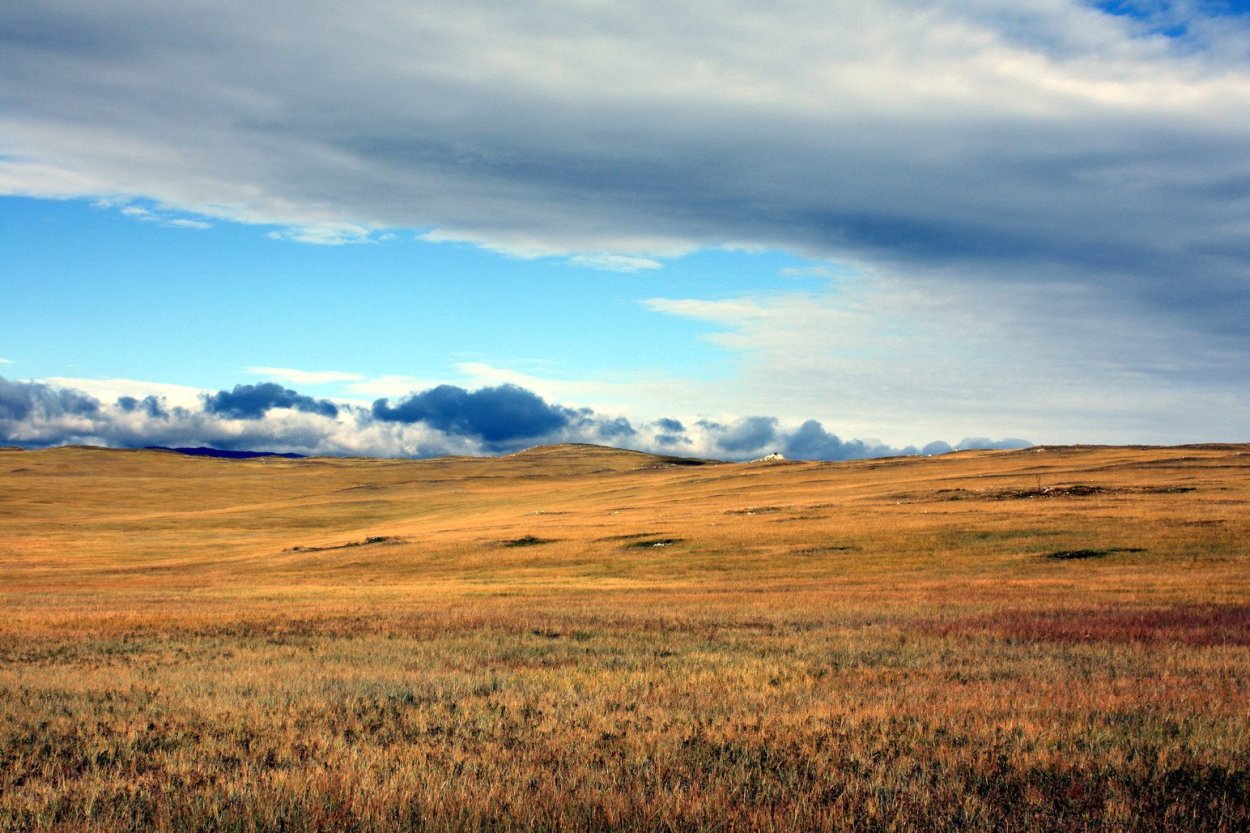 Ширакская степь