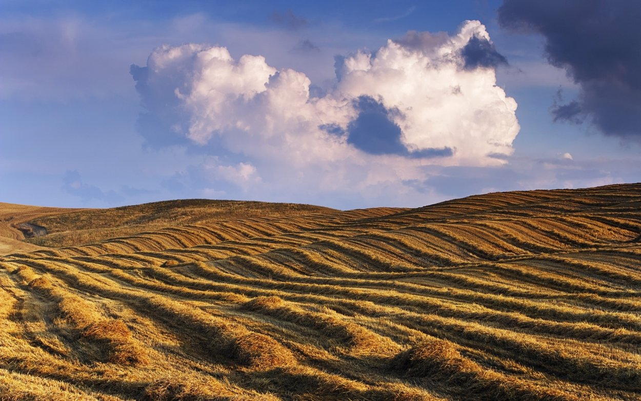 Ступенчатые равнины